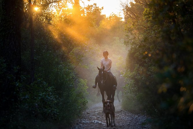 Horseback Riding in Konavle Region with Transport from Dubrovnik - Key Points Worth Knowing Before You Go