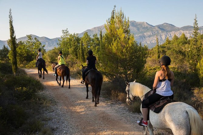 Horseback Riding in Konavle Region with Transport from Dubrovnik - Getting From Dubrovnik to Kojan Koral Without Stress