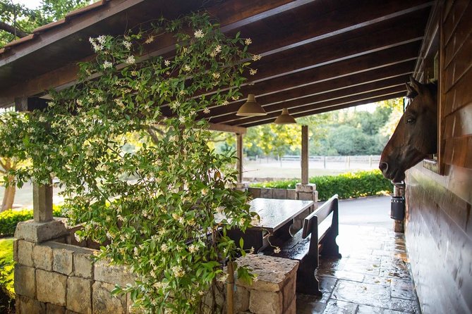 Horseback Riding in Konavle Region with Transport from Dubrovnik - The Break With Snacks and Wine, and Why It Feels Like Part of the Trip