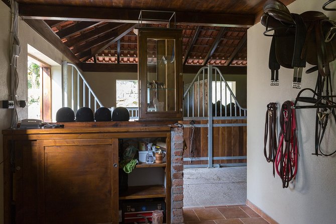 Horseback Riding in Konavle Region with Transport from Dubrovnik - Price and Value Check for $168.95
