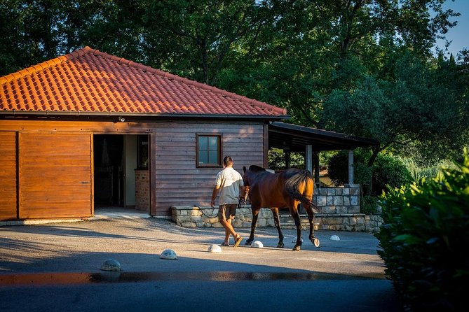 Horseback Riding in Konavle Region with Transport from Dubrovnik - What to Wear and Bring for a PM Ride
