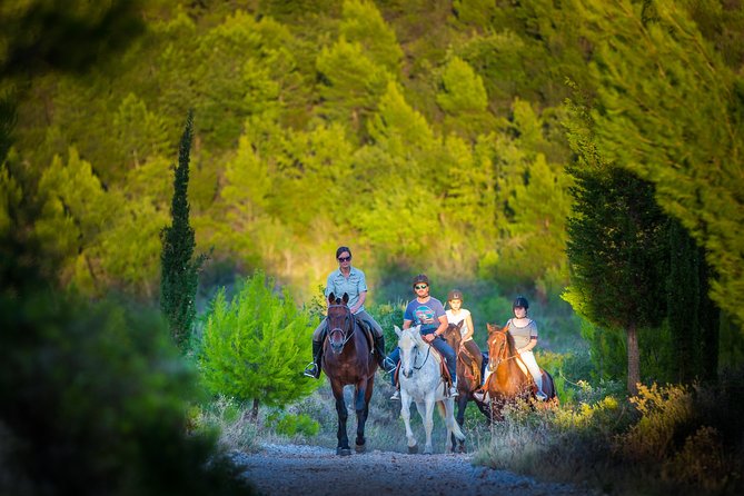 Horseback Riding in Konavle Region with Transport from Dubrovnik - Two Hours of Konavle Forest Paths and Coastal Views