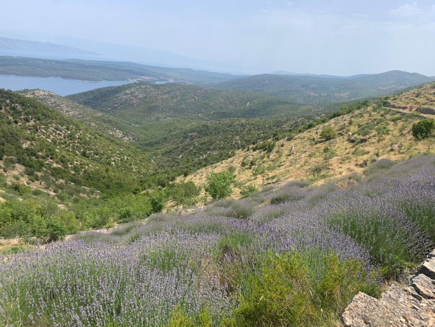 Hvar Hidden Gems Tour with Lunch or Dinner - Hvar Town From the Harbor: Spanish Fortress and the Islands of Pakleni and Vis