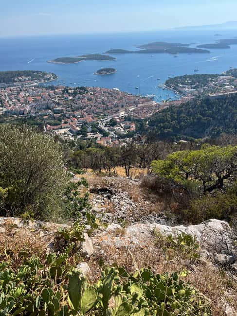 Hvar: Hvar Wine Tasting Experience - Your One Winery Visit: Carić, Tomić, or Duboković