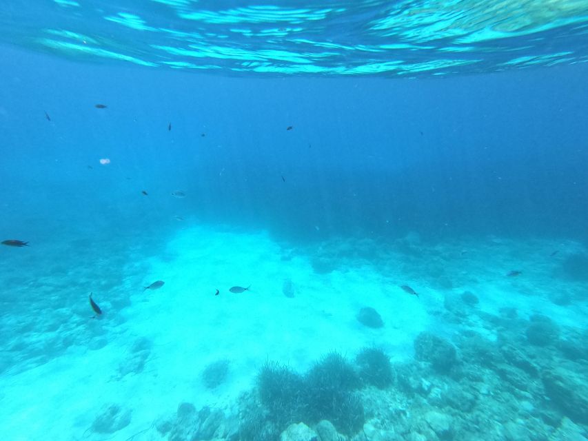 Hvar: Private Sailing Boat Trip with Swimming and Snorkeling - Should you book this Hvar private sailing boat trip?