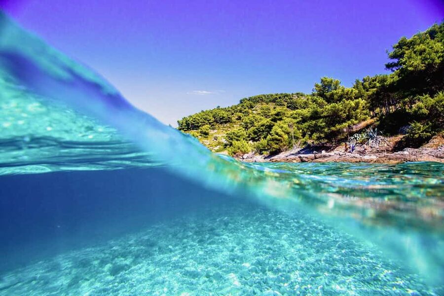 Hvar Tour from Split - Full Day Tour - Price and value: is $176 per person fair for 8 hours?