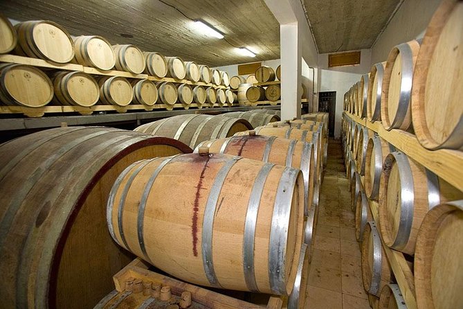 Hvar Wine tasting small group experience - Olive oil tasting that steals the show
