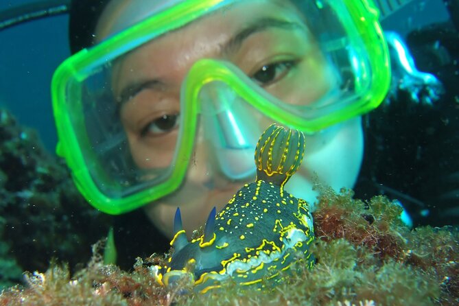 Intro Dive in Dubrovnik - Gear Setup and Scuba Equipment Use: The Part That Makes It Feel Doable