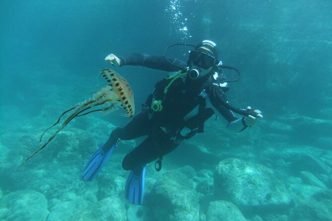 Intro Dive in Dubrovnik - Price and Value in Dubrovnik: What $120.29 Covers