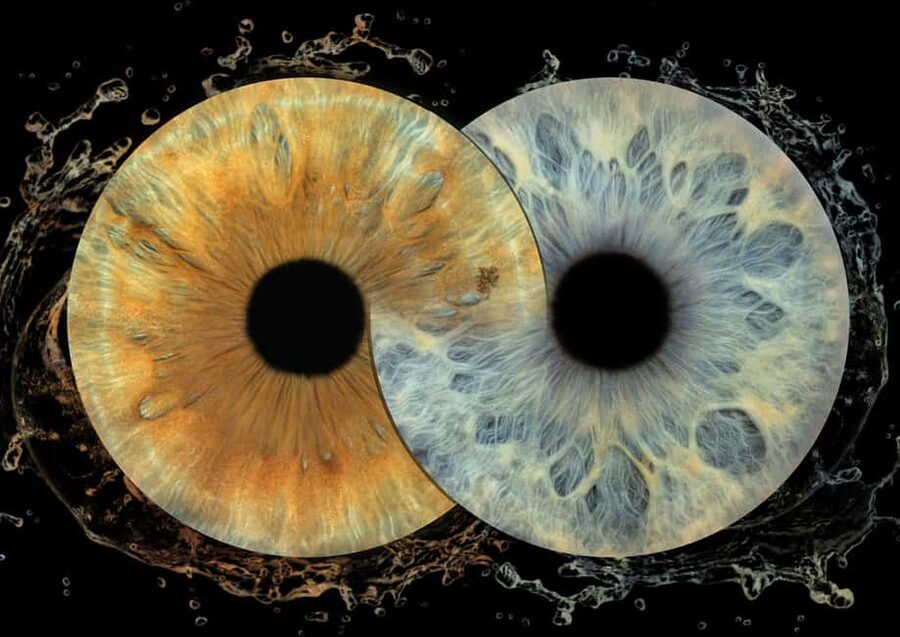 IRIS Photography (macro photo of your eye) - What your 10-minute iris session likely looks like