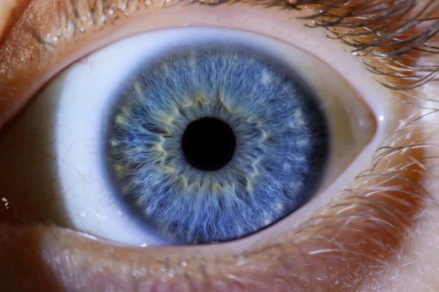 IRIS Photography (macro photo of your eye) - Making it work with your day in Dalmatia