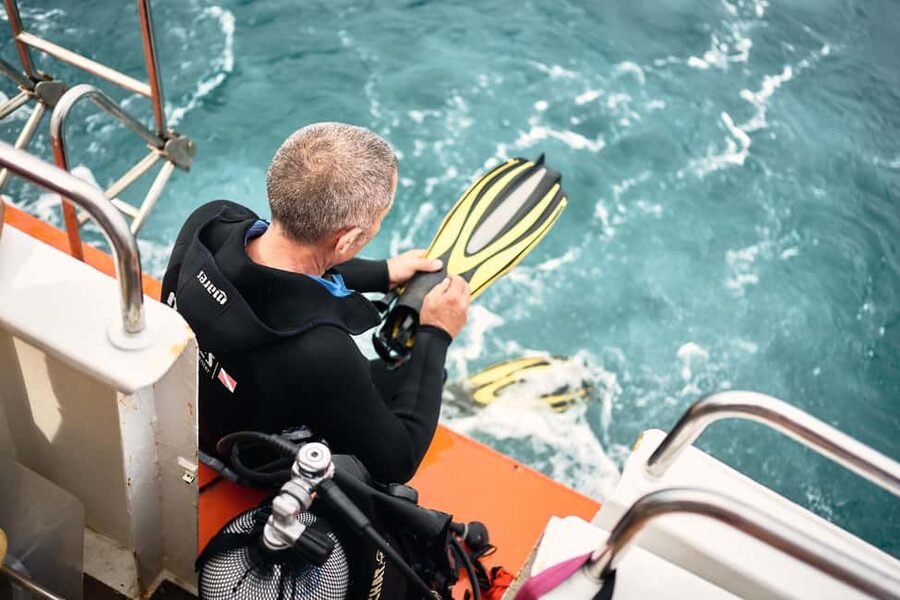 Istria: Aquavision Glassboat panoramic tour of Umag - The diver presentation: learning without the pressure