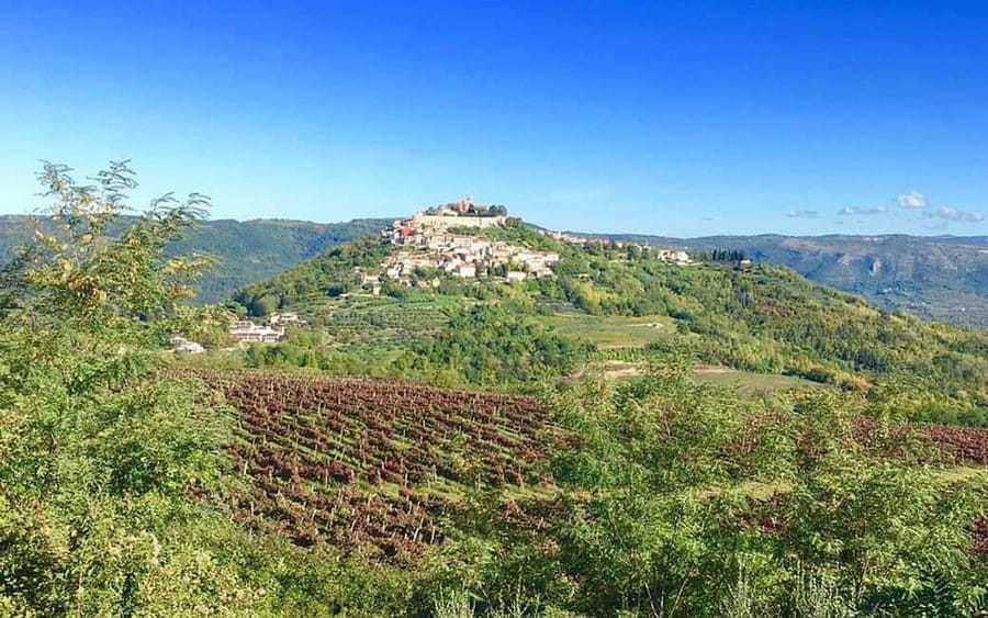 Istria: Guided Tour of Inner Istria with Food Tasting - Motovun Hilltop Town, Walls, and the Truffle Fix