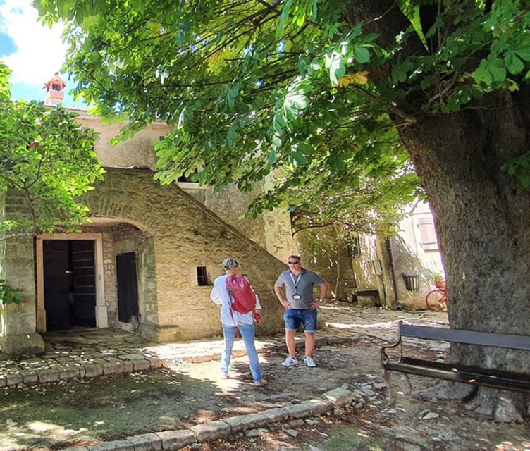 Istria: Guided Tour of Inner Istria with Food Tasting - How the Free Time Works, and Where Lunch Fits