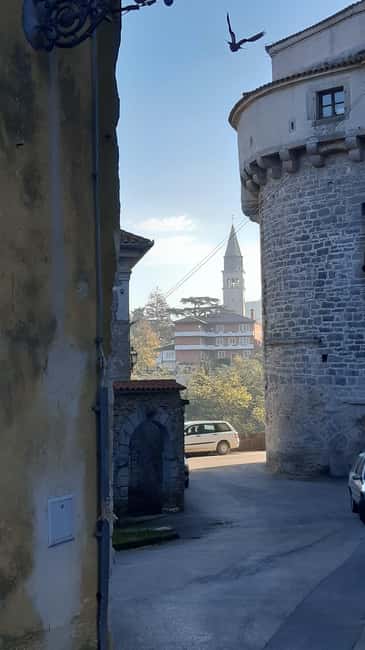 Istria: Guided Tour of Inner Istria with Food Tasting - Transportation and Timing, Why the Day Feels Easy
