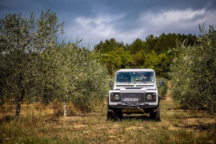 Istria: Land Rover Off-Road Adventure with Tastings - Optional zipline at ZipLine Pazin: who should add the extra
