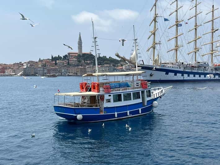 Izlet brodom iz Vrsara: Zalazak sunca i druženje s delfinima - The Istrian archipelago route, and why it matters for dolphin spotting