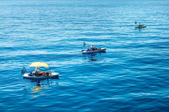 Kanjac Kayak Fishing Cavtat - Pedal Kayak Fishing in Cavtat: Why This Feels Different