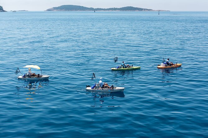 Kanjac Kayak Fishing Cavtat - Fish You Might Target in the Dubrovnik Area