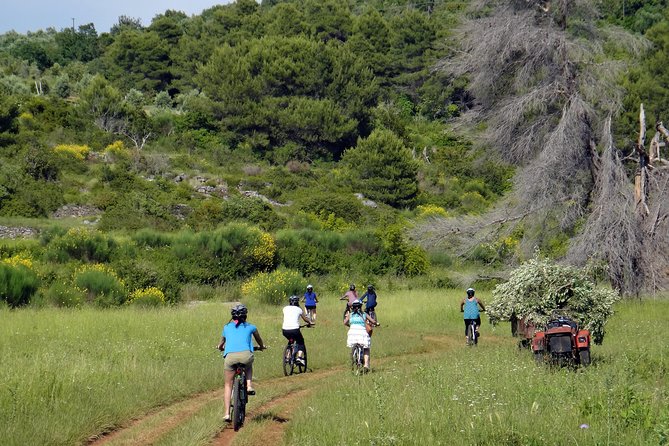 Kayak and Bike Tour to Sipan island from Lopud - Key things I’d book for