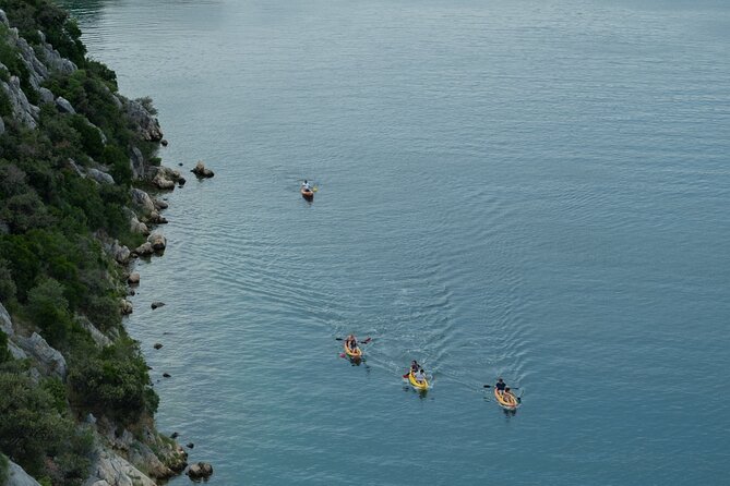 Kayaking and mussels tasting at Krka River estuary-private tours - Swim, Cliff Jump, or Snorkel: Choosing Your Break