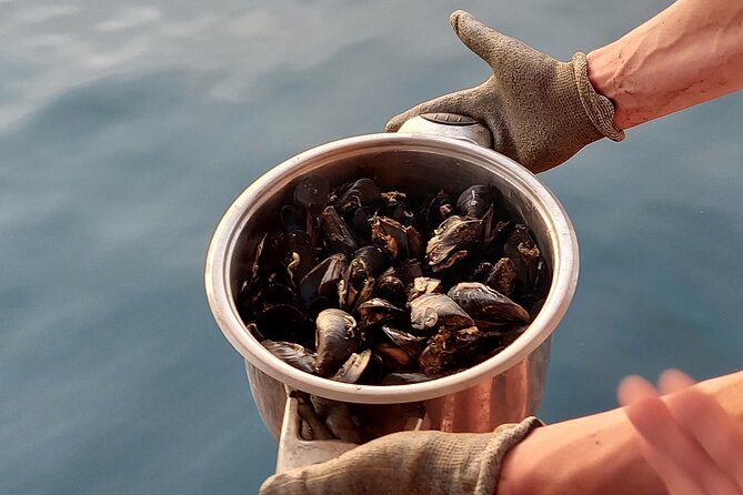 Kayaking and mussels tasting at Krka River estuary-private tours - What to Bring, and What the Guide Covers on the Water