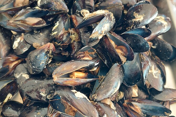 Kayaking and mussels tasting at Krka River estuary-private tours - Should You Book Krka Kayaking and Mussels? My Decision Checklist