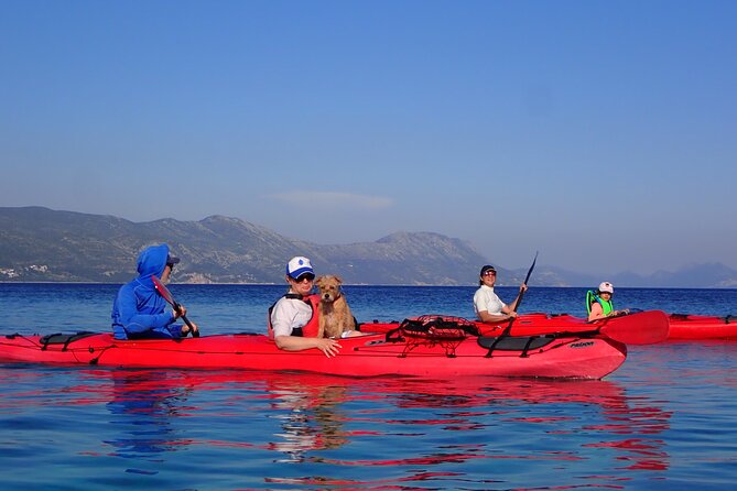 Kayaking Korčula's Paradise -Half Day Guided Kayak Tour - The island route: archipelago scenery with two planned stops