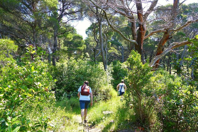 Kolocep Island Hiking and Swimming Full Day Trip from Dubrovnik - Meet your guide: Mare and Zeljka bring the day to life