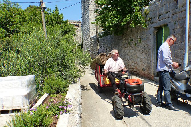 Kolocep Island Hiking and Swimming Full Day Trip from Dubrovnik - Price and value: is $105.86 worth it?