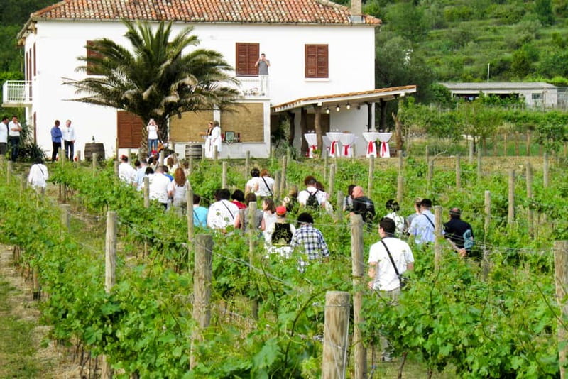 Konavle Valley: Tour with Wine Tasting from Dubrovnik - Getting from Koločep: transfers that keep the day easy