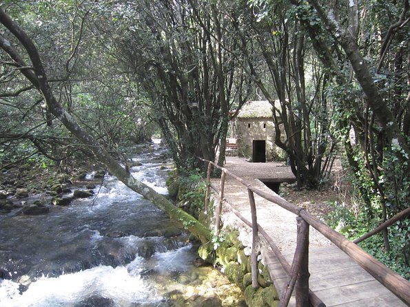 Konavle Valley Wine Tour from Dubrovnik with Train Ride and Wine Tasting - What to bring and how to plan your Dubrovnik day