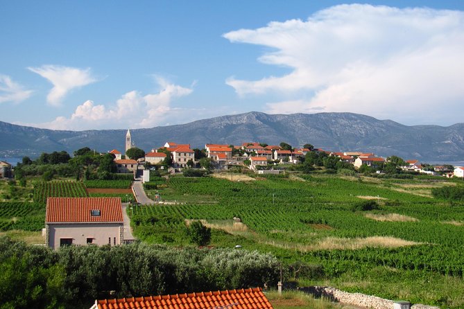 Korcula Bike & Wine Tour | Wine Tasting in Lumbarda - Lumbarda winery afternoon: Grk, Posip, and real conversations