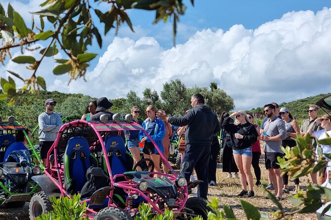 Korcula Buggy (Official) Safari Tour -Local Food & Wine Tasting- - Price and value: is $129.45 fair?