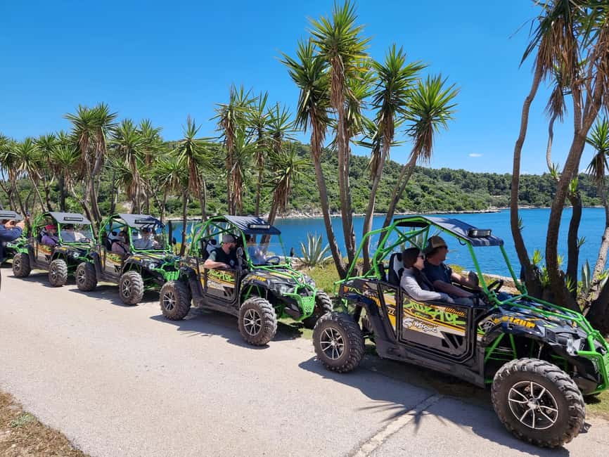 Korcula: Buggy Safari with Local Food and Wine Tasting - The Ride Setup: Training, Rules, and What Drivers Need