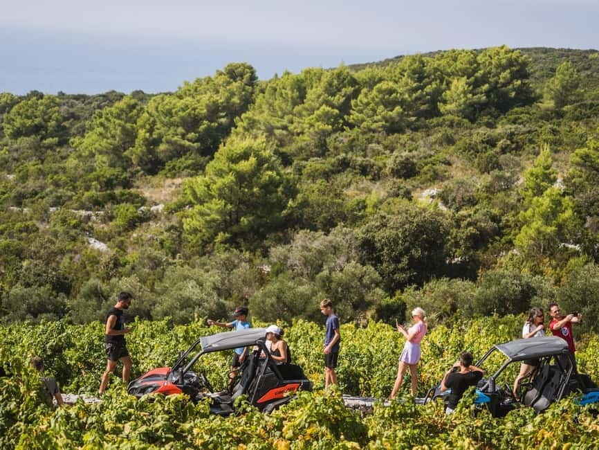 Korcula Buggy Safari With Wine Tasting - Weather Reality: When the Day Feels Chilly or Windy