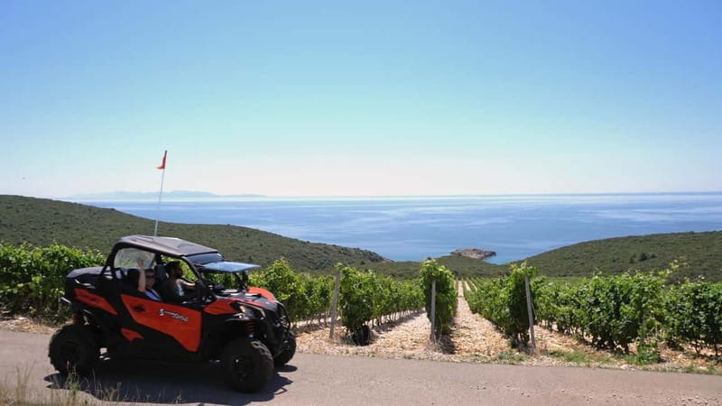 Korcula Island: Buggy Beach Safari with Lunch and Snorkeling - Beach-hunting through olive trees and vineyards
