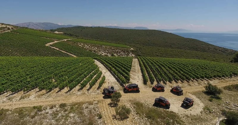 Korcula Island: Buggy Beach Safari with Lunch and Snorkeling - Who should book this buggy beach safari, and who should skip it