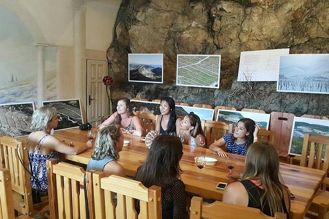 Korcula & Peljesac Full Day Private Tour from Dubrovnik - Matusko Winery tasting and what to look for in the cellar tour