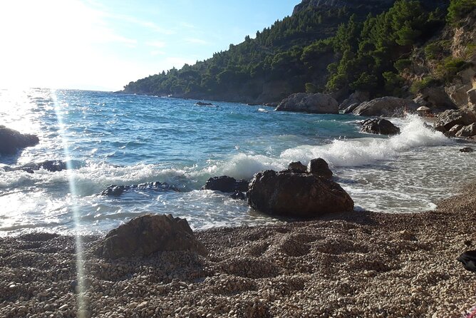 Korcula, Ston, Wine Tasting and Lunch - Tour from Dubrovnik - Matuško cellar wine tasting: three wines, one cellar visit