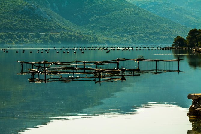 Korcula, Ston, Wine Tasting and Lunch - Tour from Dubrovnik - Dubrovnik pickup and drop-off, and the comfort factor