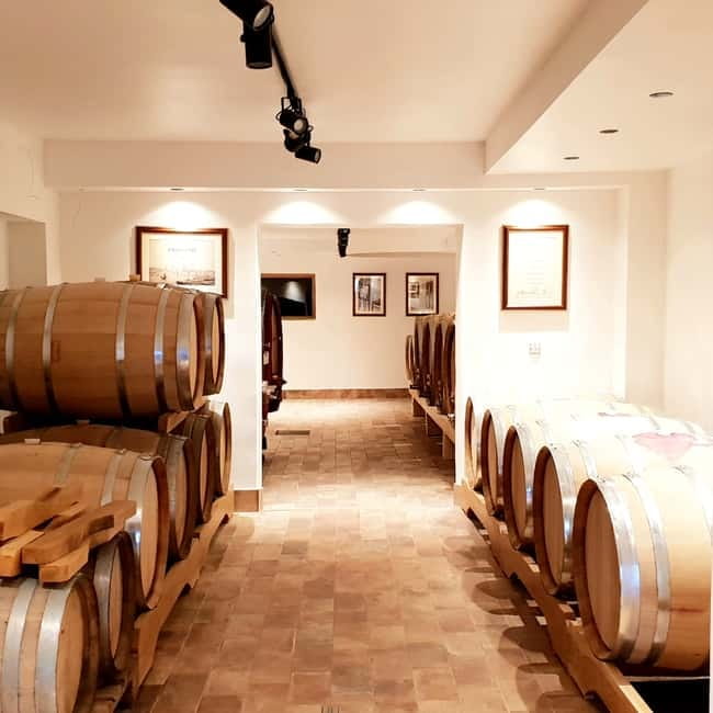 Krk: Family-Owned Winery Tour and Tasting - Kuća vina Ivan Katunar in Vrbnik: a family winery with real continuity