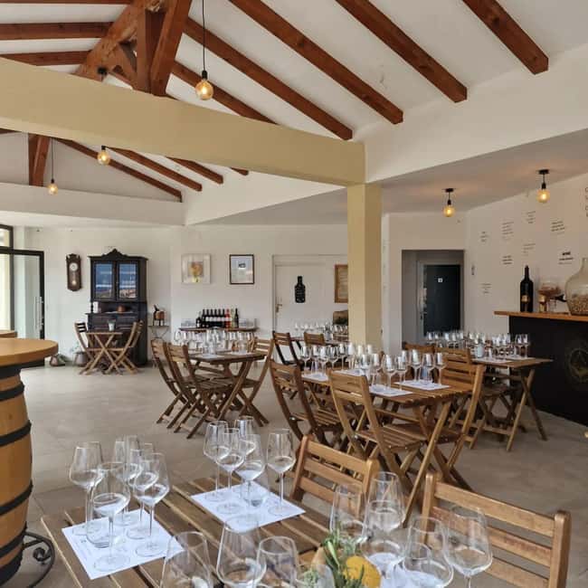 Krk: Family-Owned Winery Tour and Tasting - The guided tasting of 7 wines, paired with Croatian snacks