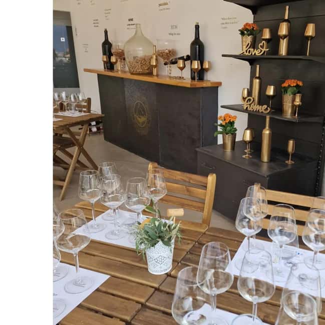 Krk: Family-Owned Winery Tour and Tasting - What to bring, how to approach it, and who it suits best