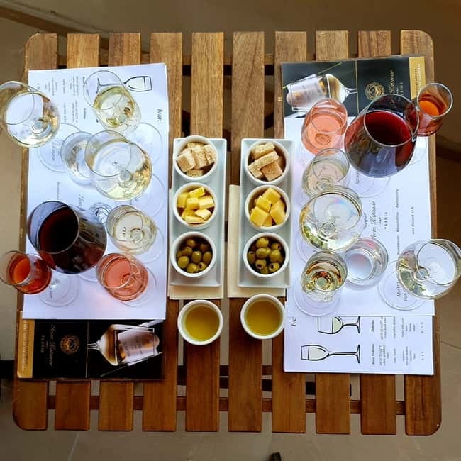 Krk: Family-Owned Winery Tour and Tasting - Into the vineyards, then into the cellar: how the tour is paced