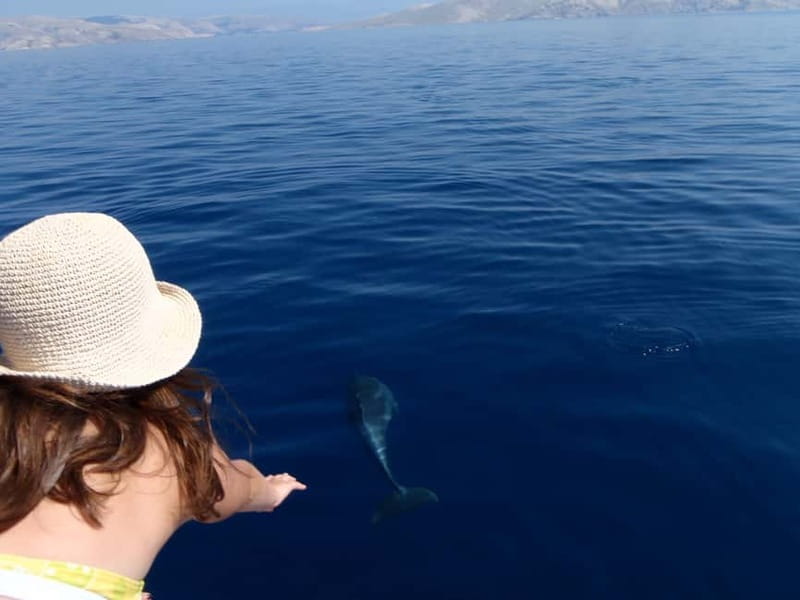 Krk:Rab & Pag Boat Trip with Swimming & City Tour with lunch - Krk to Rab: Panoramas First, Then the Old Town
