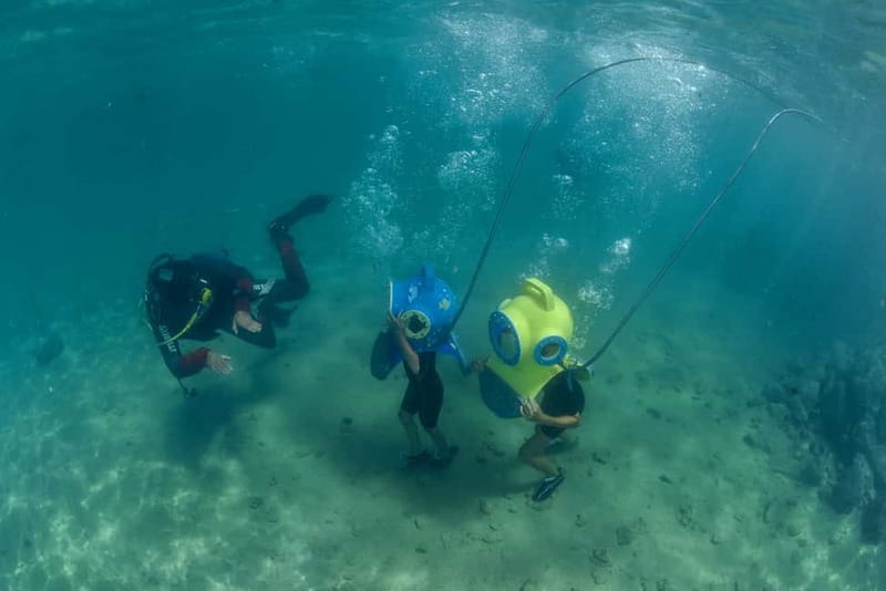 Krk: Skip-the-Line Entry to Underwater Park Punat - Should You Book This Underwater Park Entry in Punat?