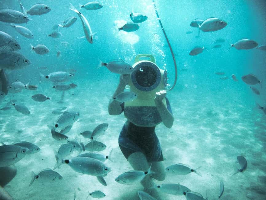 Krk: Skip-the-Line Entry to Underwater Park Punat - Price and Value: Is $35 Worth It?