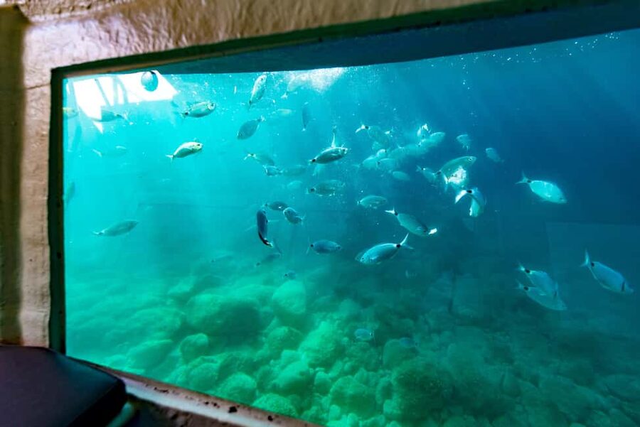 Krk: Yellow Semi-Submarine Tour - A 30-minute Krk Sea Ride on a Yellow Semi-Submarine