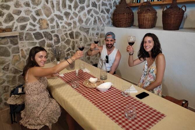 Krka National Park Tour with tour Guide & Wine tasting from Split & Trogir - Timing, summer crowds, and how to plan your day at Krka